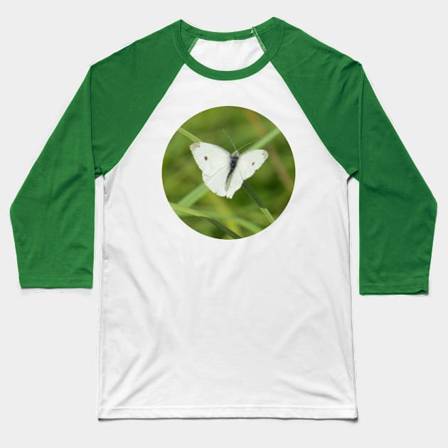 Cabbage White Butterfly-1 Rd Baseball T-Shirt by MaryLinH